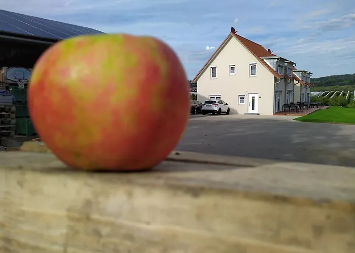 Lägenhet Dachsberg Sundowner Bermatingen